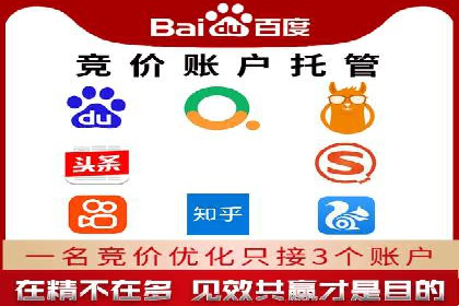 SEM托管公司成功案例：助力企业业绩增长
